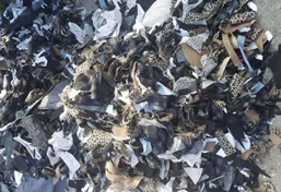 廢舊布料破碎機 廢舊布料破碎機