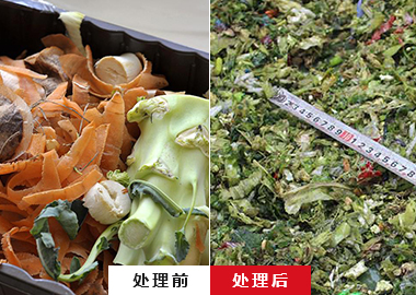 廚余垃圾破碎機 餐廚垃圾破碎