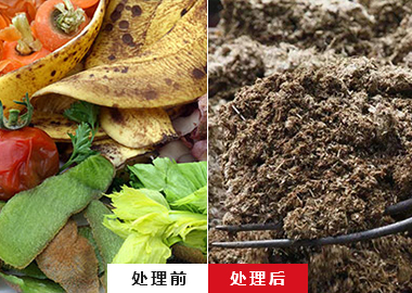 廚余垃圾破碎機 果蔬破碎