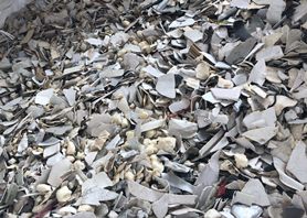 塑料碎片 塑料碎片