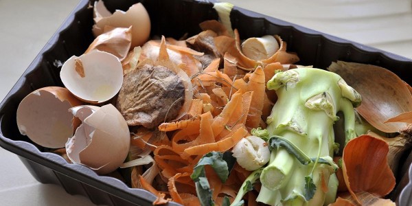 非居民廚余垃圾處理計(jì)量收費(fèi)來(lái)了！廚余垃圾怎么處理？