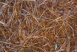 廢銅線撕碎機 廢銅線撕碎機