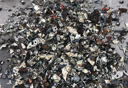 噸包袋撕碎機 噸包袋撕碎機