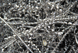 金屬屑破碎機(jī) 金屬屑破碎機(jī)