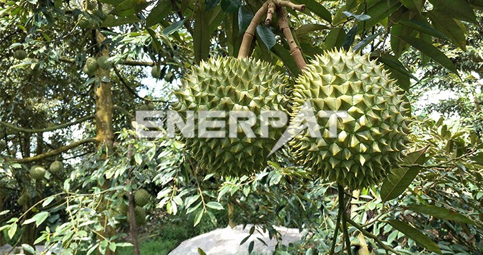 果蔬垃圾破碎機(jī) 果蔬垃圾破碎機(jī)